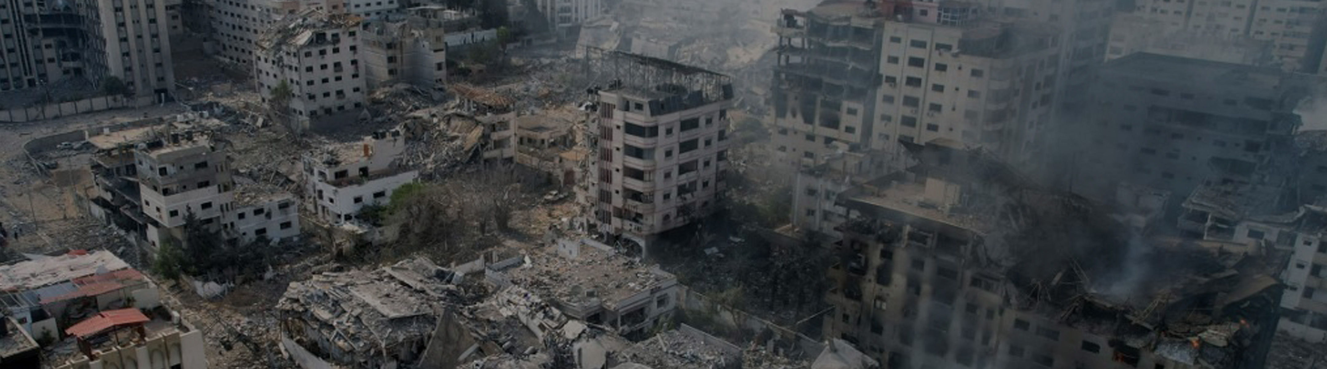 AMP | American Muslims for Palestine